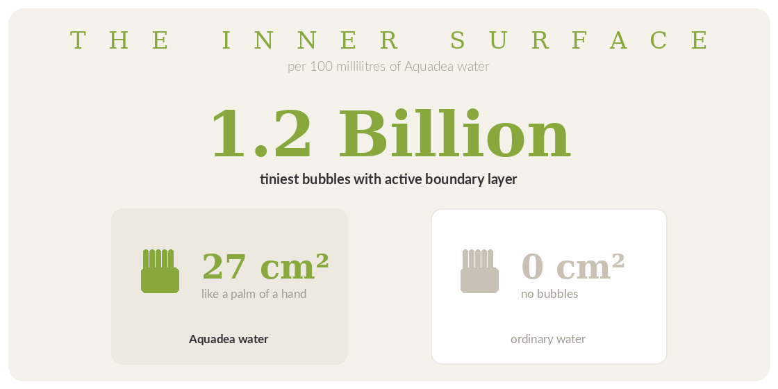 THE INNER SURFACE – 1.2 billion bubbles per 100 ml