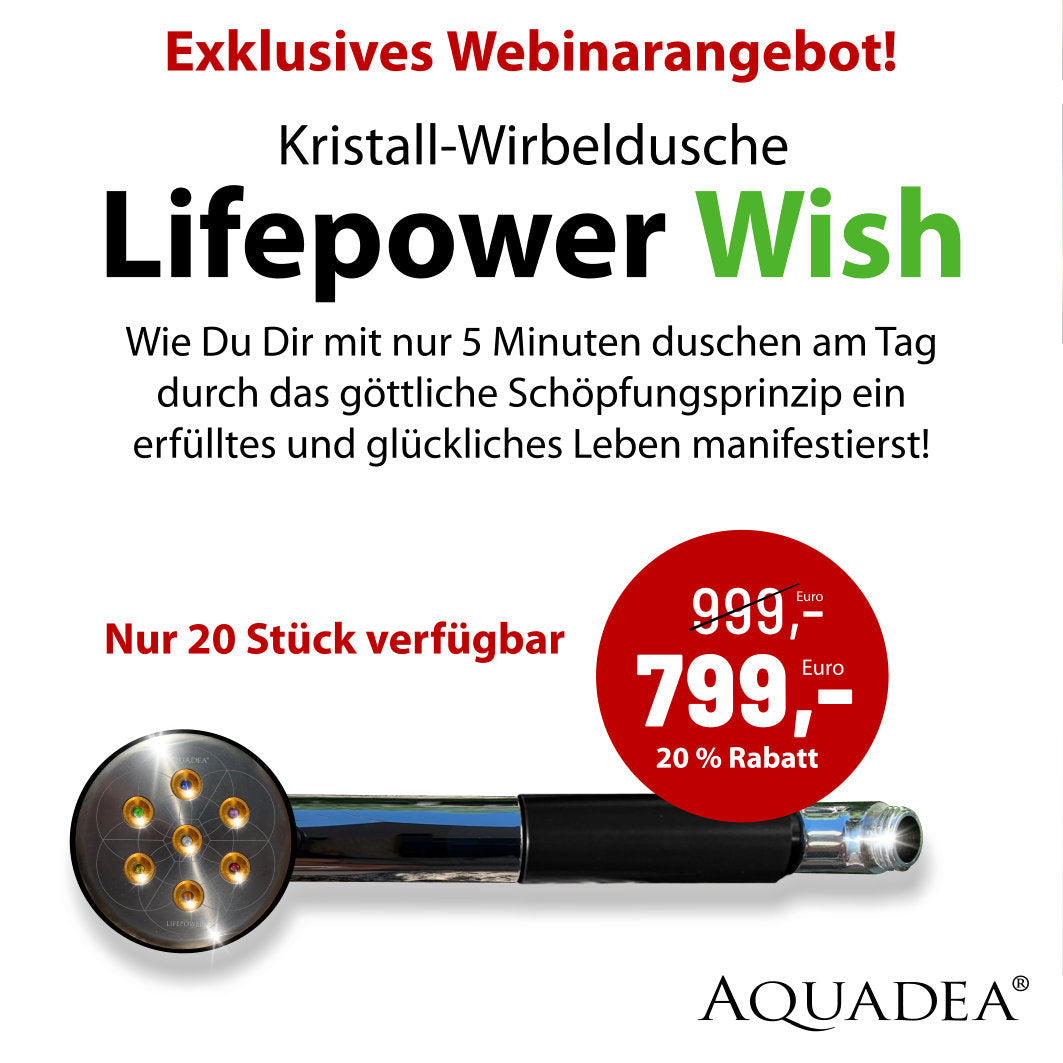 Webinarangebot Kristallwirbeldusche Lifepower Wish