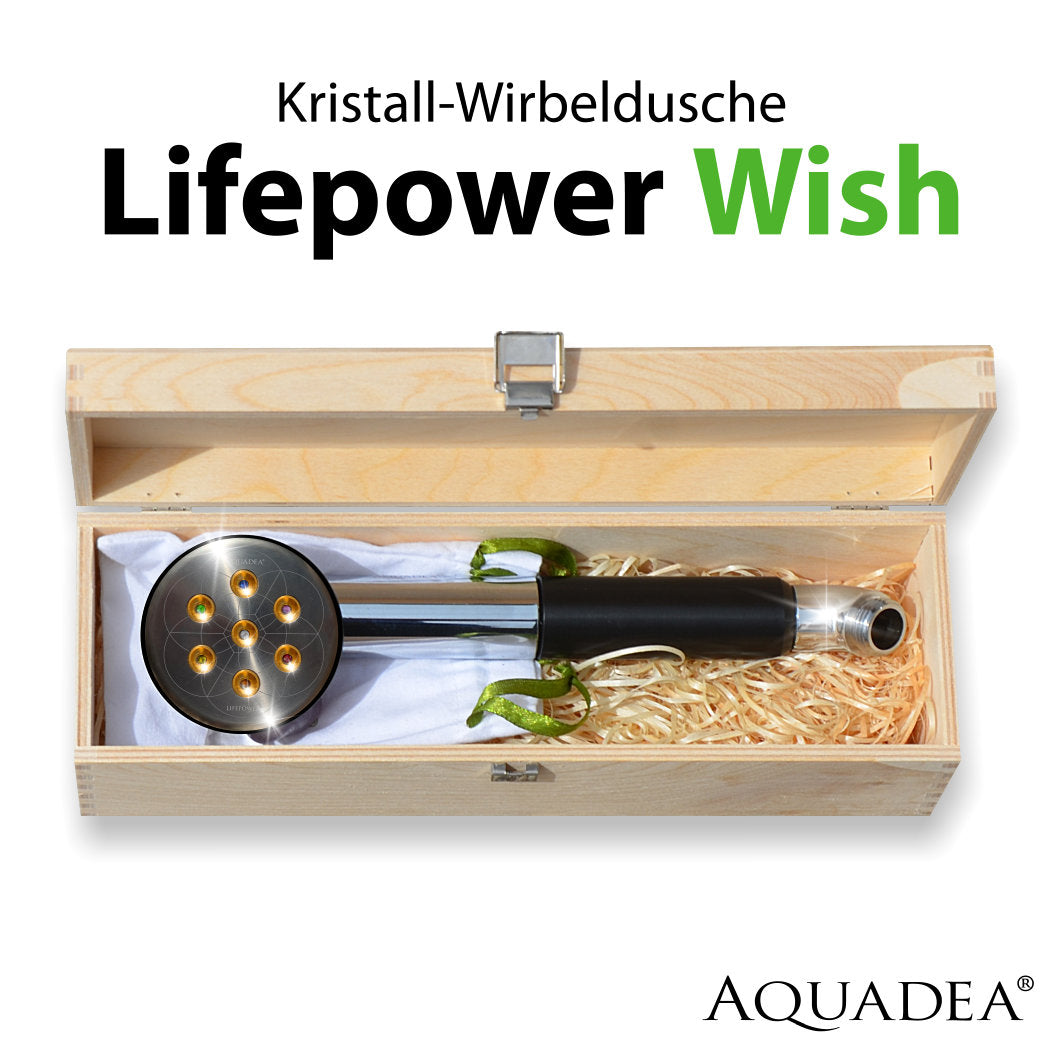 Webinarangebot Kristallwirbeldusche Lifepower Wish