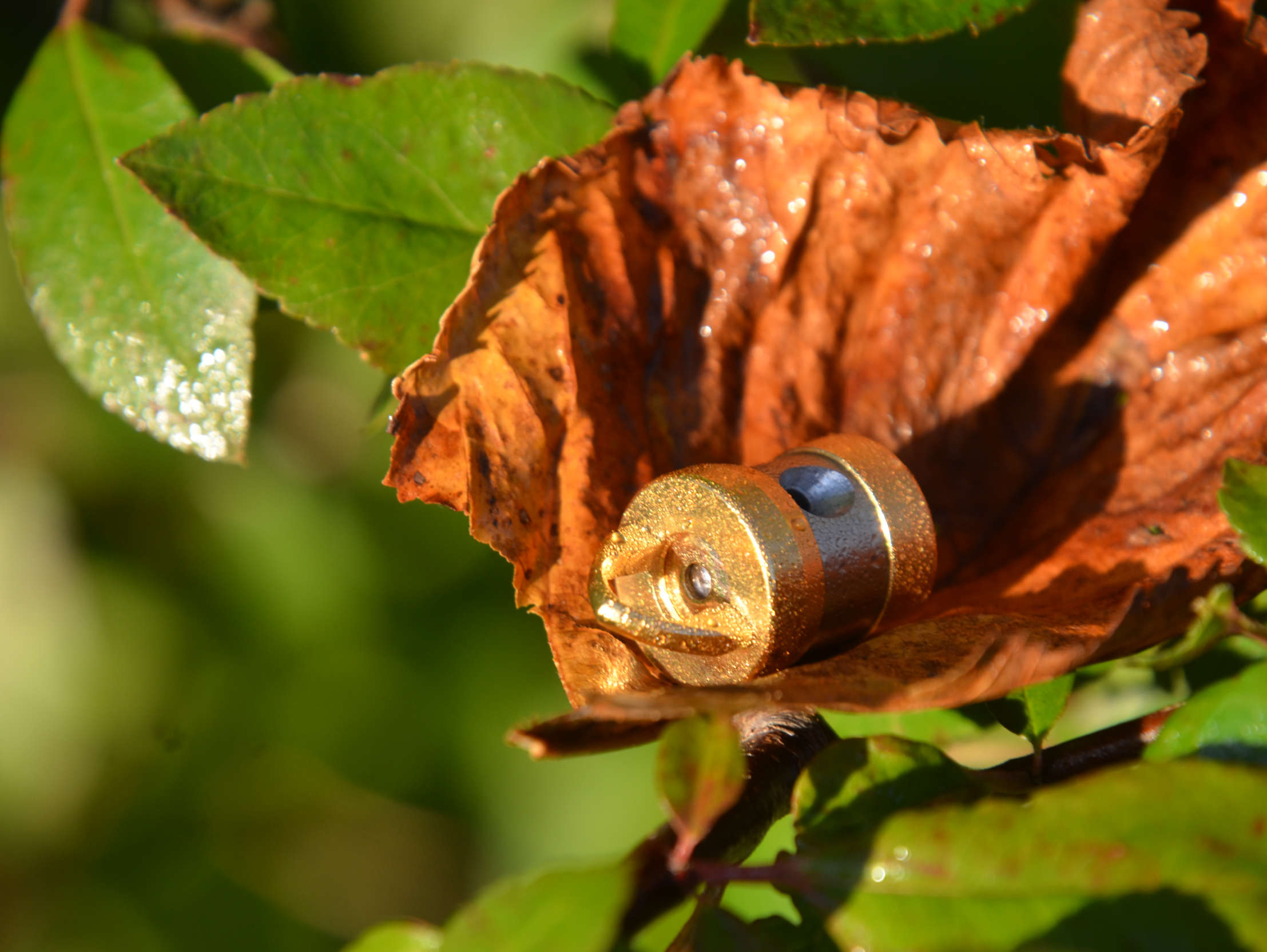 Anhänger: Herzkohärenz Platin-Germanium-Diamant -Rubin -  Gold